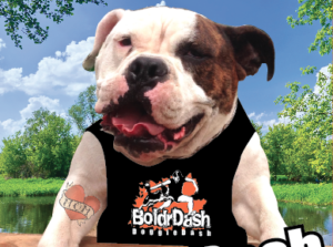 BoldrDash DoggieDash Obstacle Adventure and Trail Run - October 21, 2018 @ Canonicus Camp and Conference Center | Exeter | Rhode Island | United States